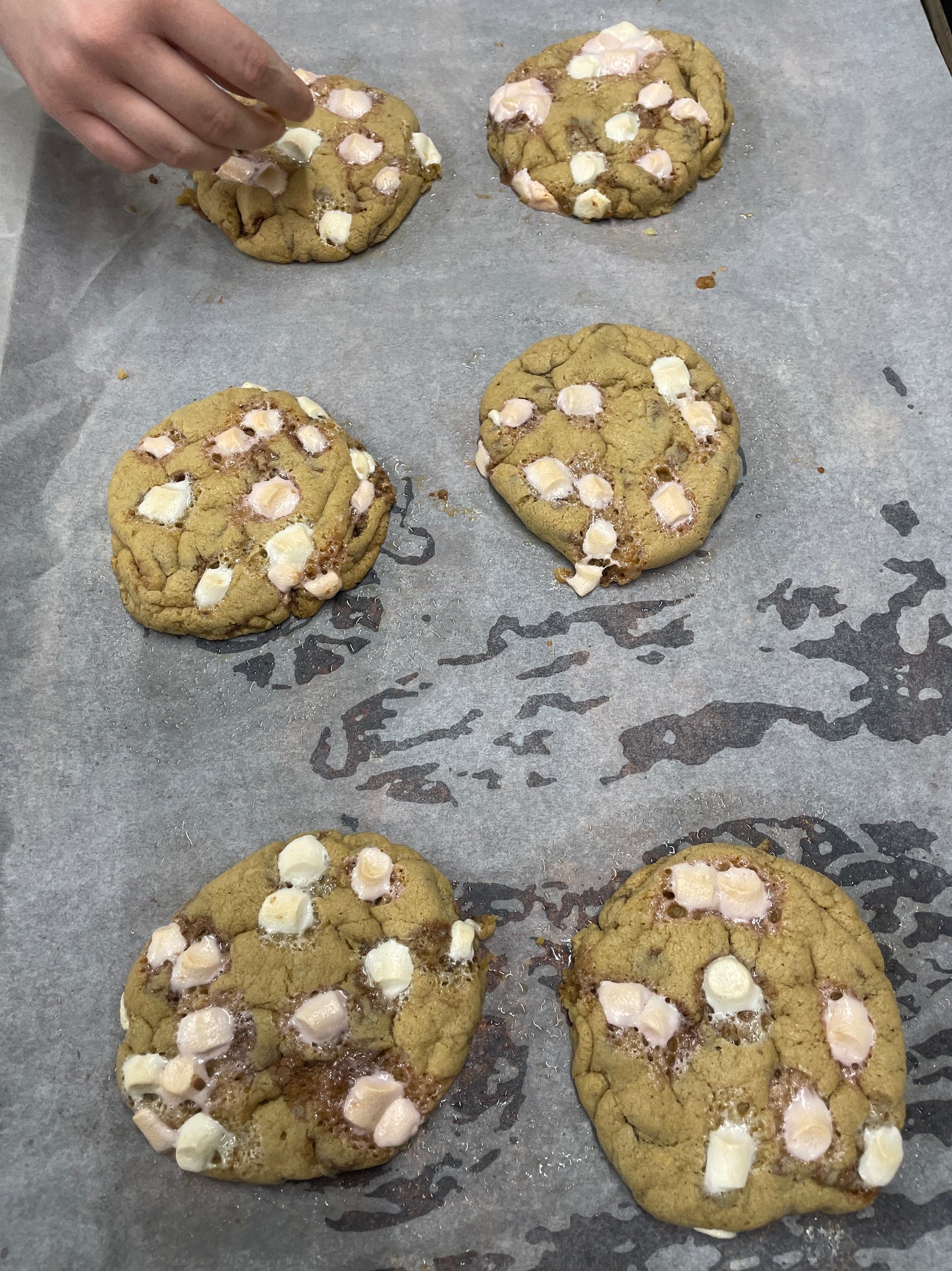 S’mores white chocolate cookie