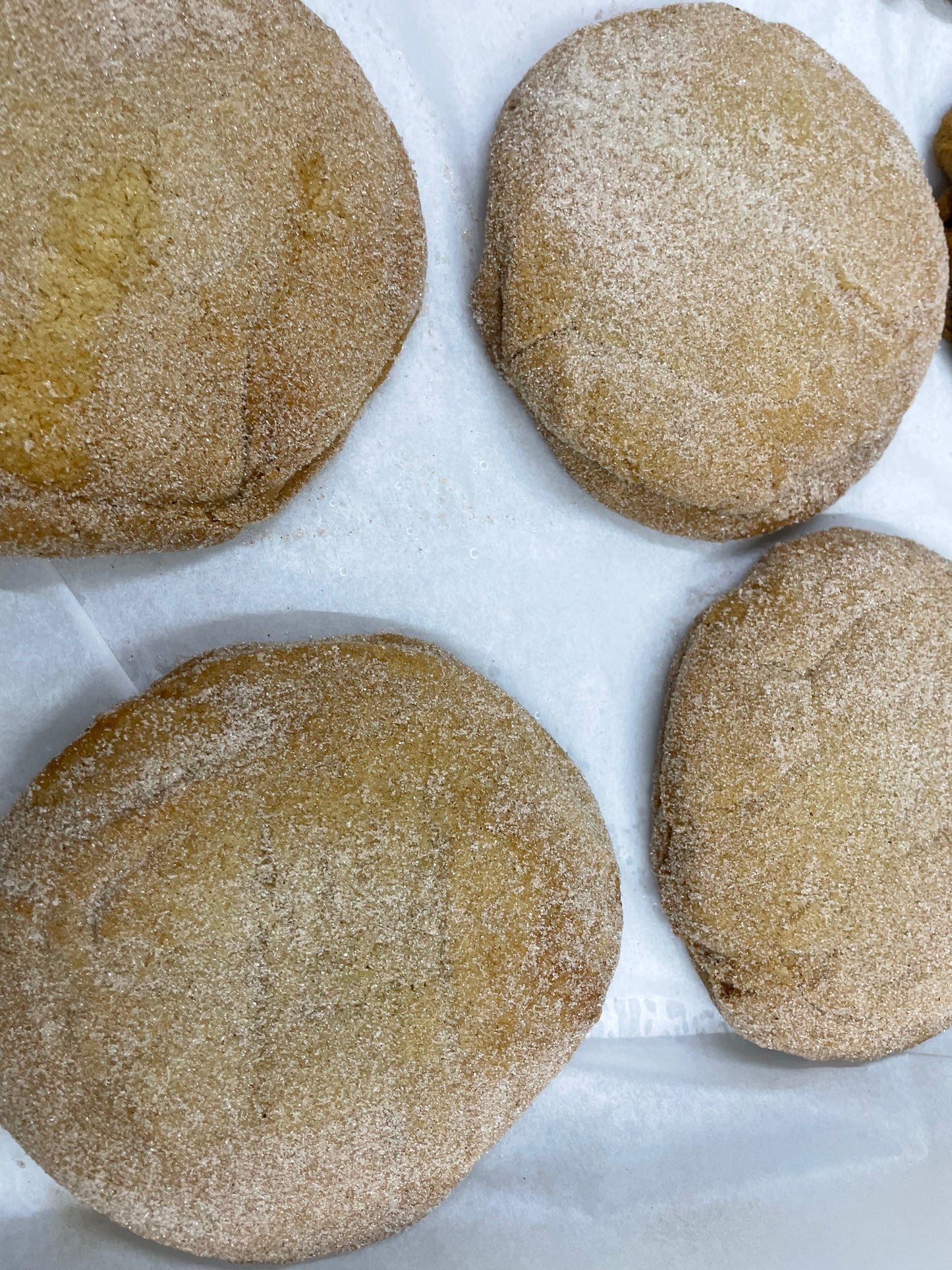 Ginger and cinnamon cookie